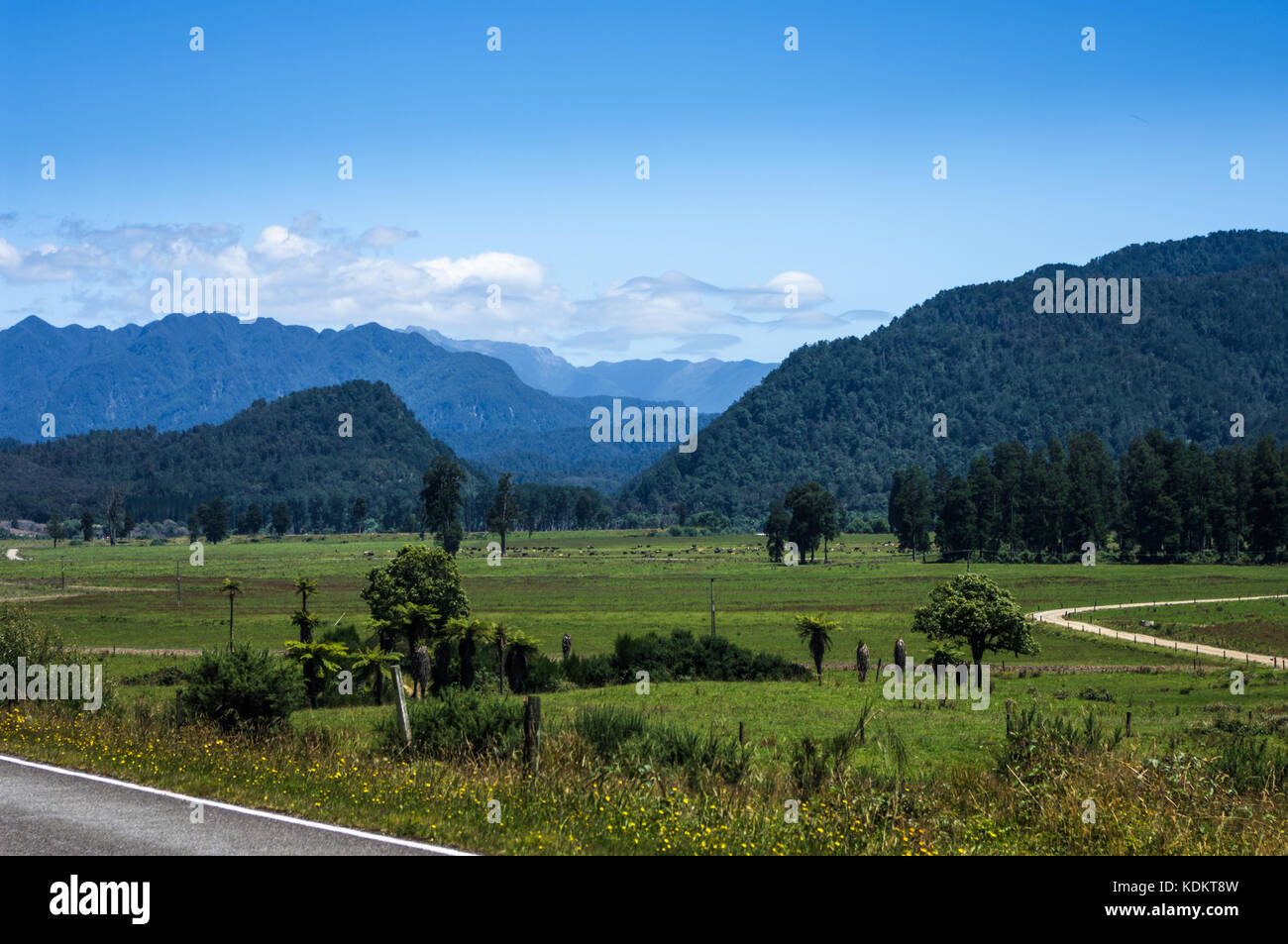 Inangahua, Costa oeste • Nueva Zelanda ruta Inanguahua Foto de stock