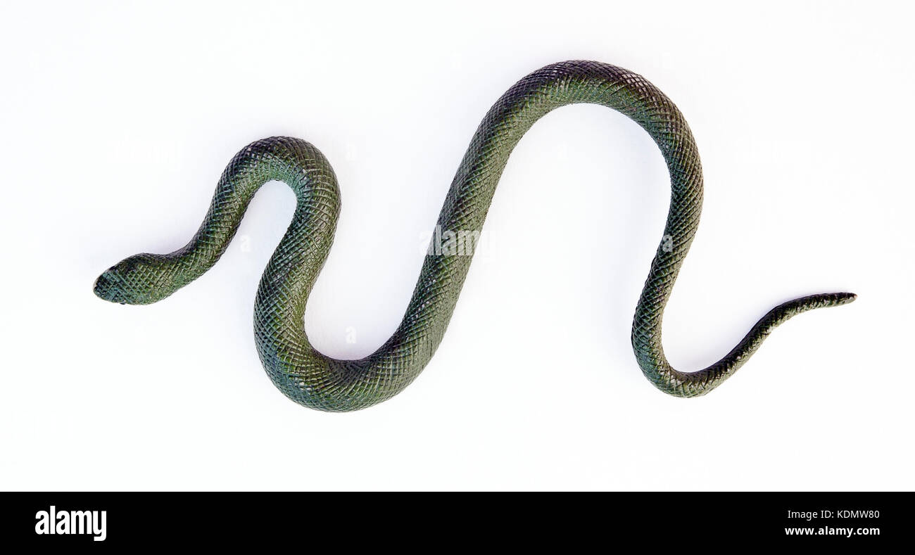 S-s-s-s-s-. fake serpiente verde de goma. aislados. Foto de stock