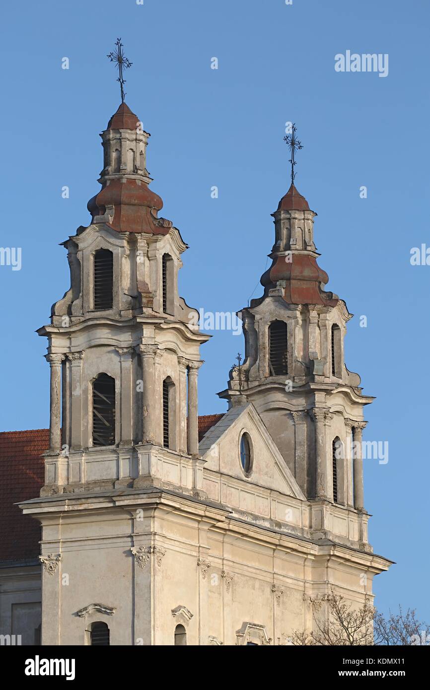 La Catedral de Vilnius detailk Foto de stock