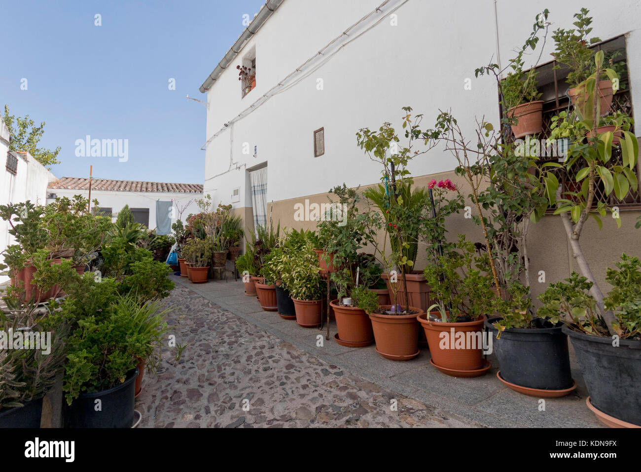 Entrada de casa al aire libre llena de plantas del casco antiguo de Cáceres (Extremadura, España). Foto de stock