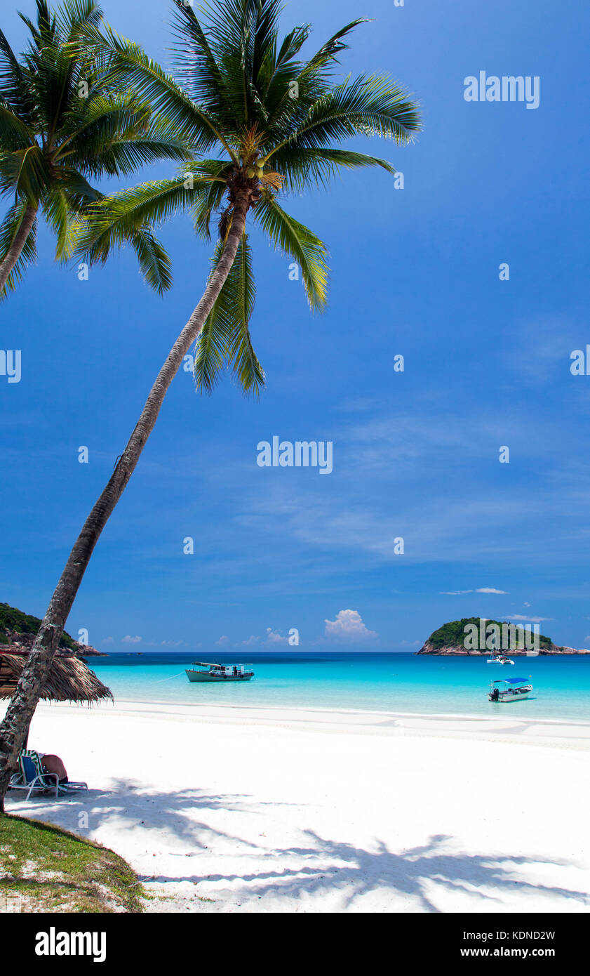 Una playa de arena blanca en la isla de Redang, Malasia Foto de stock