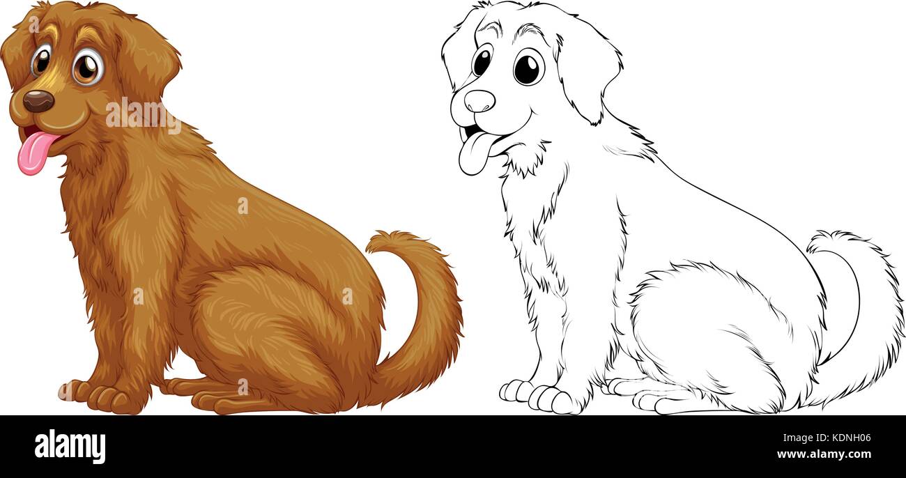 Esquema de animal perro golden retriever ilustración Imagen Vector de stock  - Alamy
