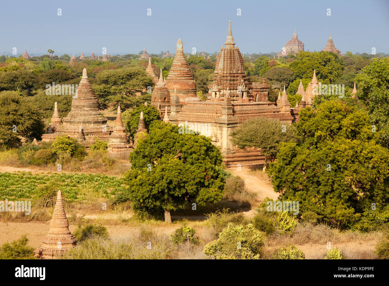 Noreste de templos, Bagan (pagano), Myanmar (Birmania), el sudeste de Asia Foto de stock