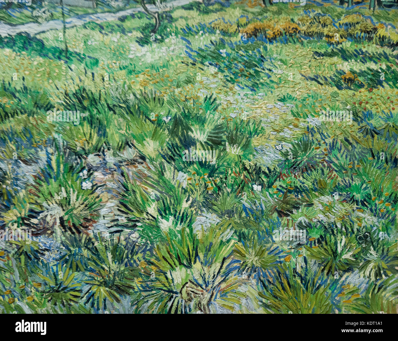 Vincent van Gogh - Pasto largo con mariposas (1890) Foto de stock