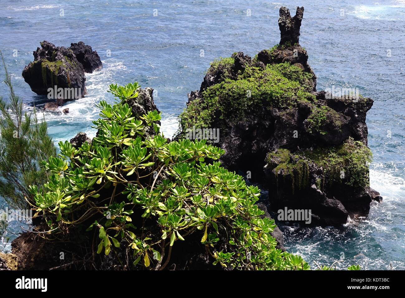 Orejas de conejo Isla. El distintivo de la roca de la lava es un hito en Waianapanapa State Park, fuera de la carretera Hana, Maui, Hawai Foto de stock