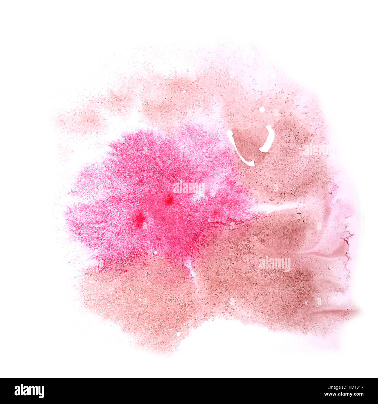 Salpicaduras de pintura acuarela mancha de tinta rosa, brown spot blob  brush w Fotografía de stock - Alamy