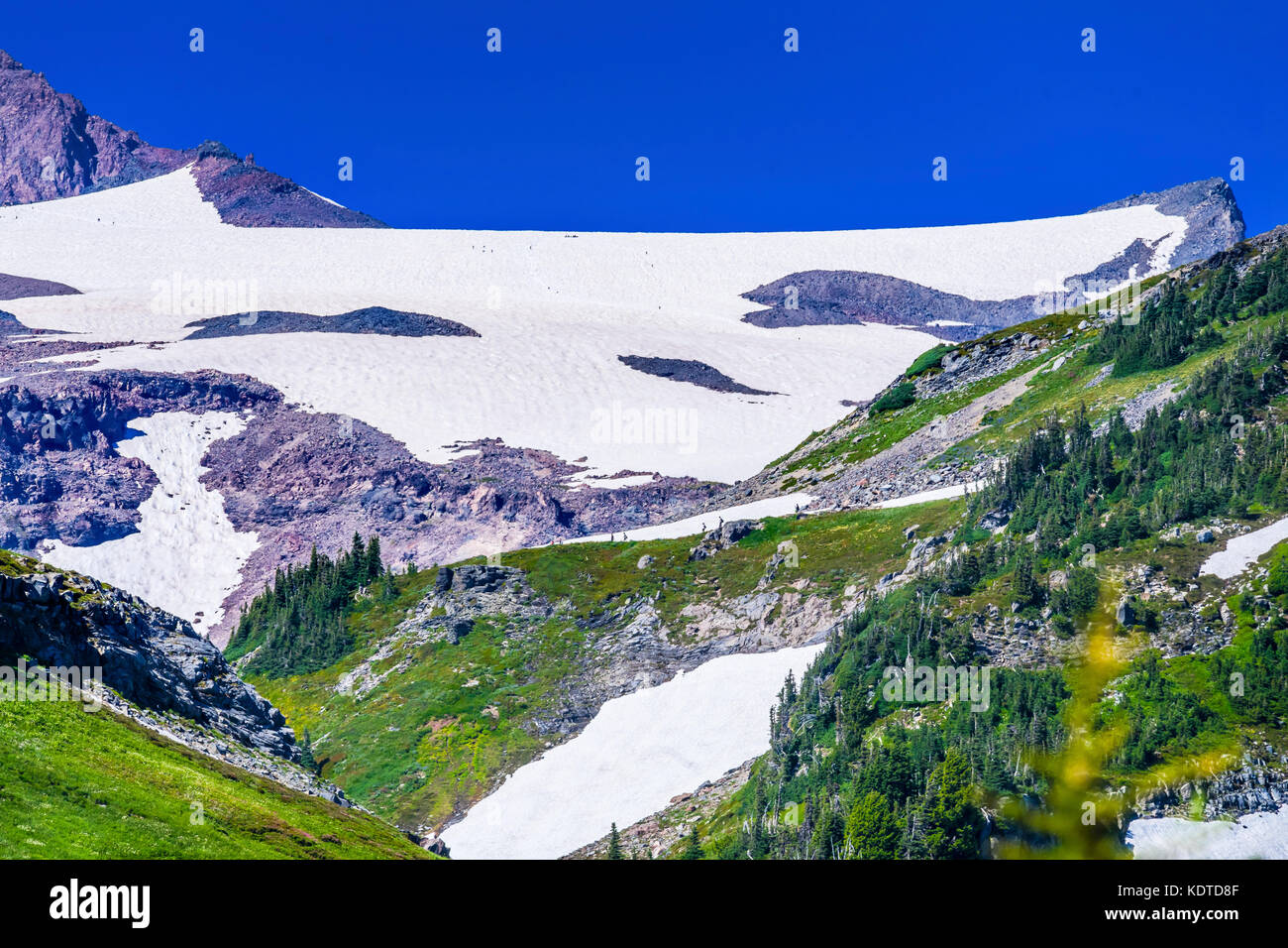 Taza de camping de esmalte Mt Rainier, taza de esmalte de Washington en el  Parque Nacional