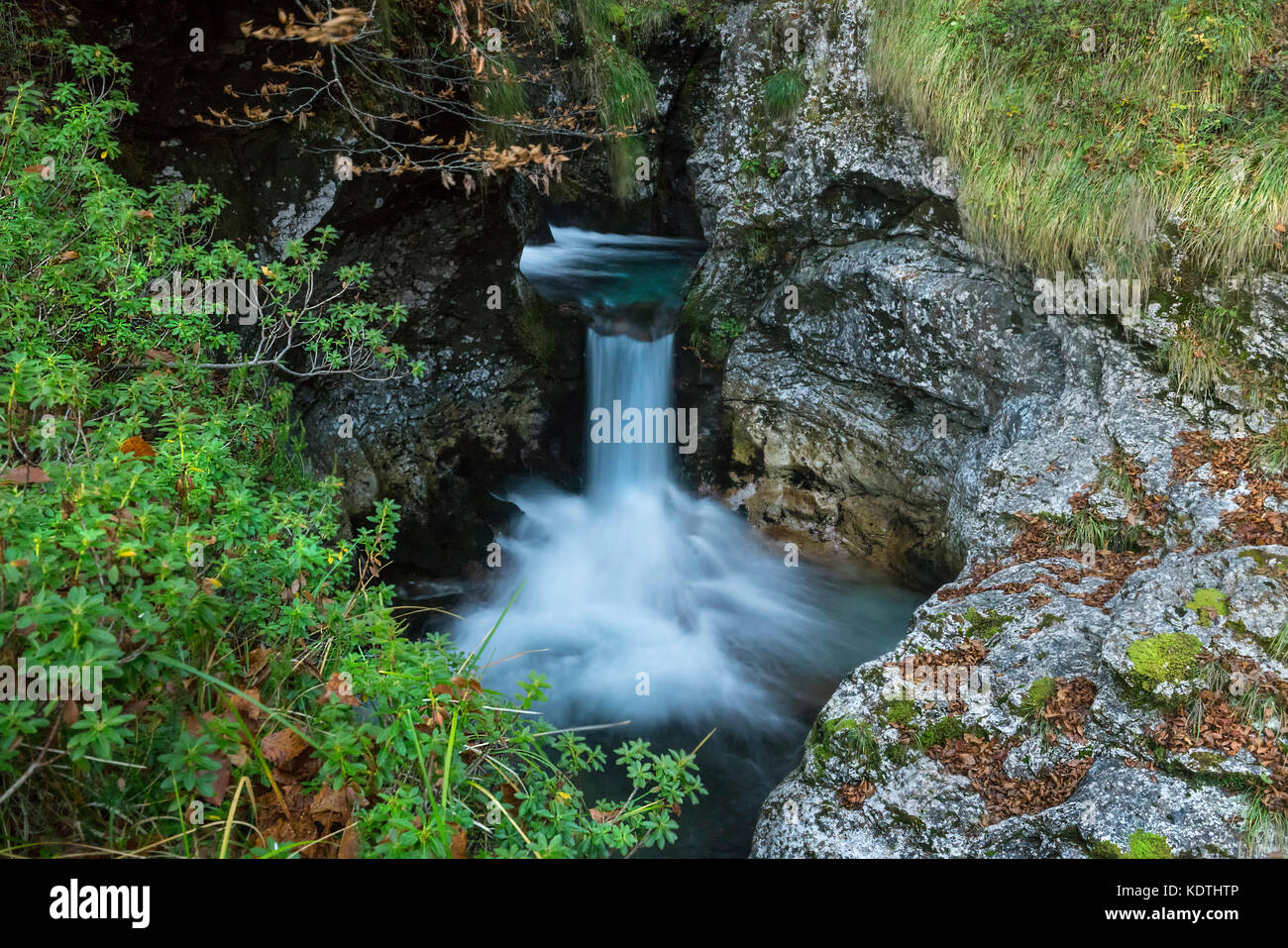 El agua de un arroyo que fluye hacia el bosque Foto de stock