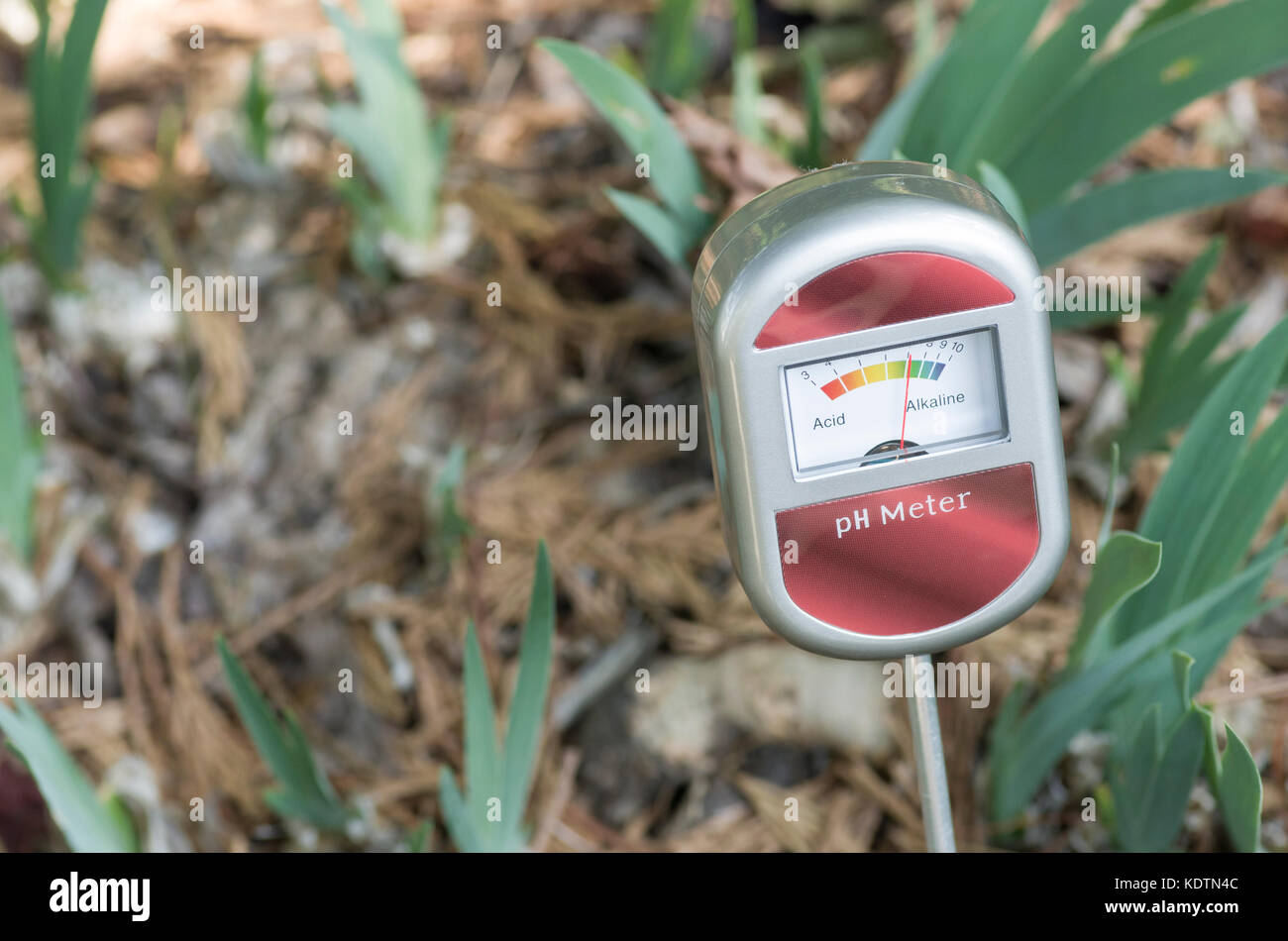 Instrumento analógico para medir el ph del suelo - conjunto de cerca con  plantas antecedentes Fotografía de stock - Alamy