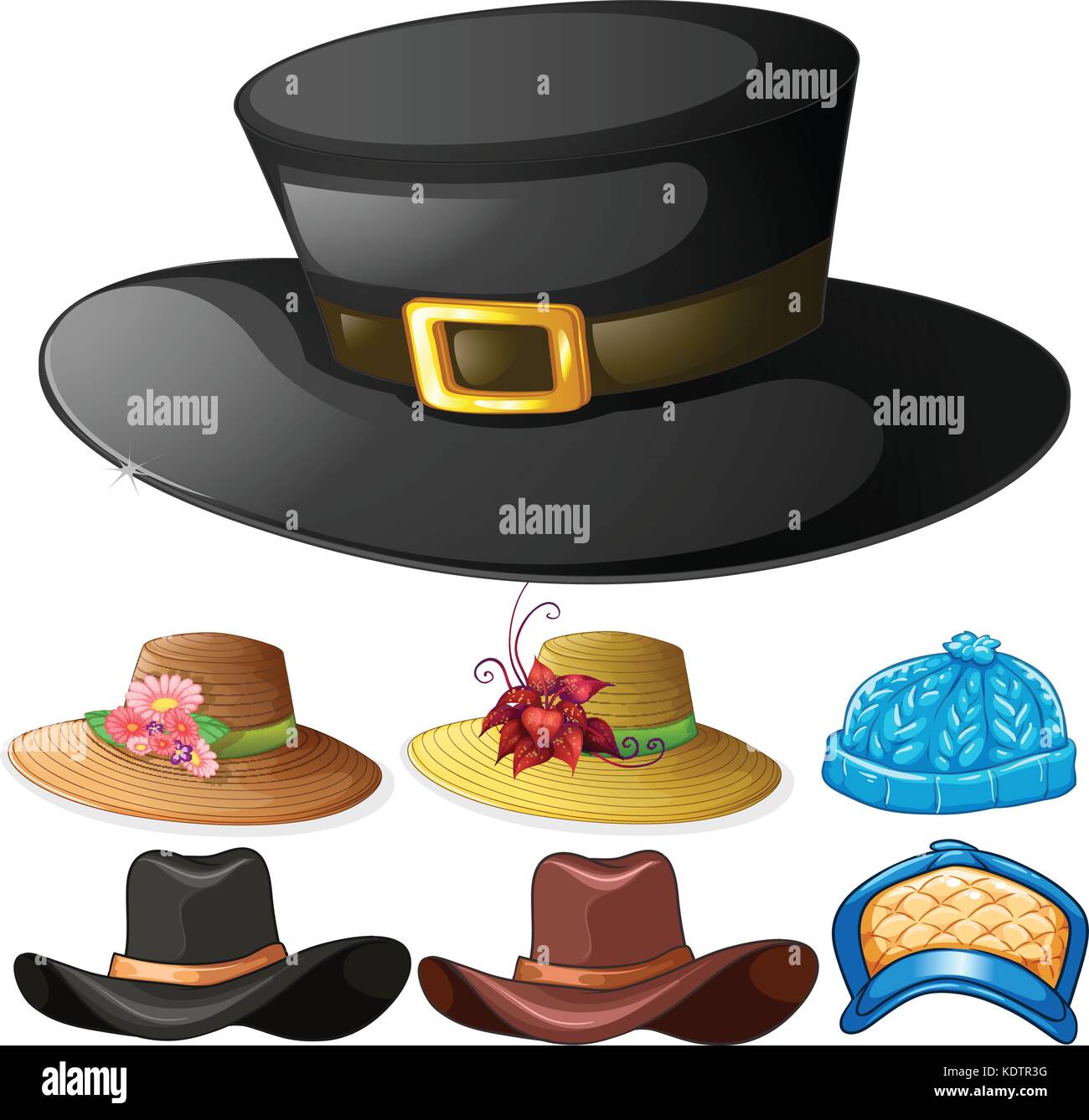 toma una foto zorro Gaviota Diseño diferente de sombreros para hombre y mujer ilustración Imagen Vector  de stock - Alamy