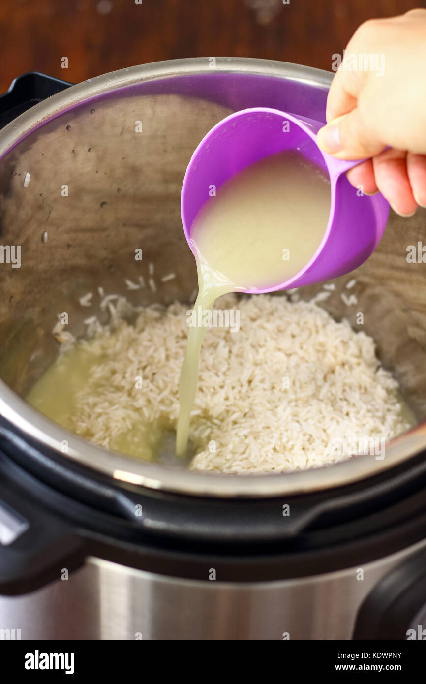 https://c8.alamy.com/compes/kdwpny/arroz-frito-casera-hecha-en-olla-instantanea-kdwpny.jpg