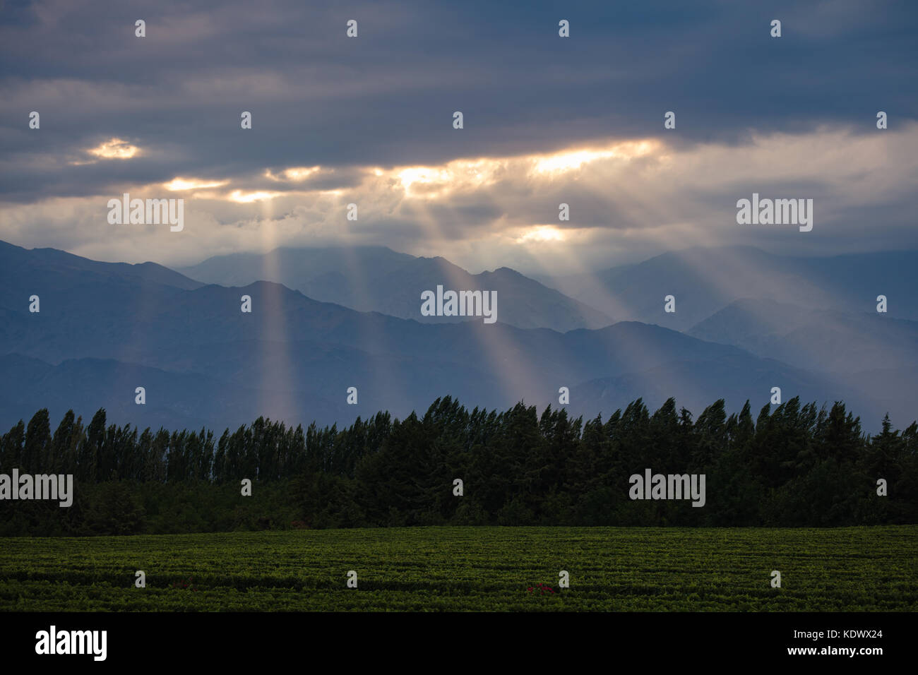 Rayos crepusculares a lo largo de los Andes desde los viñedos del Valle de Uco nr Tupungato, Provincia de Mendoza, Argentina Foto de stock