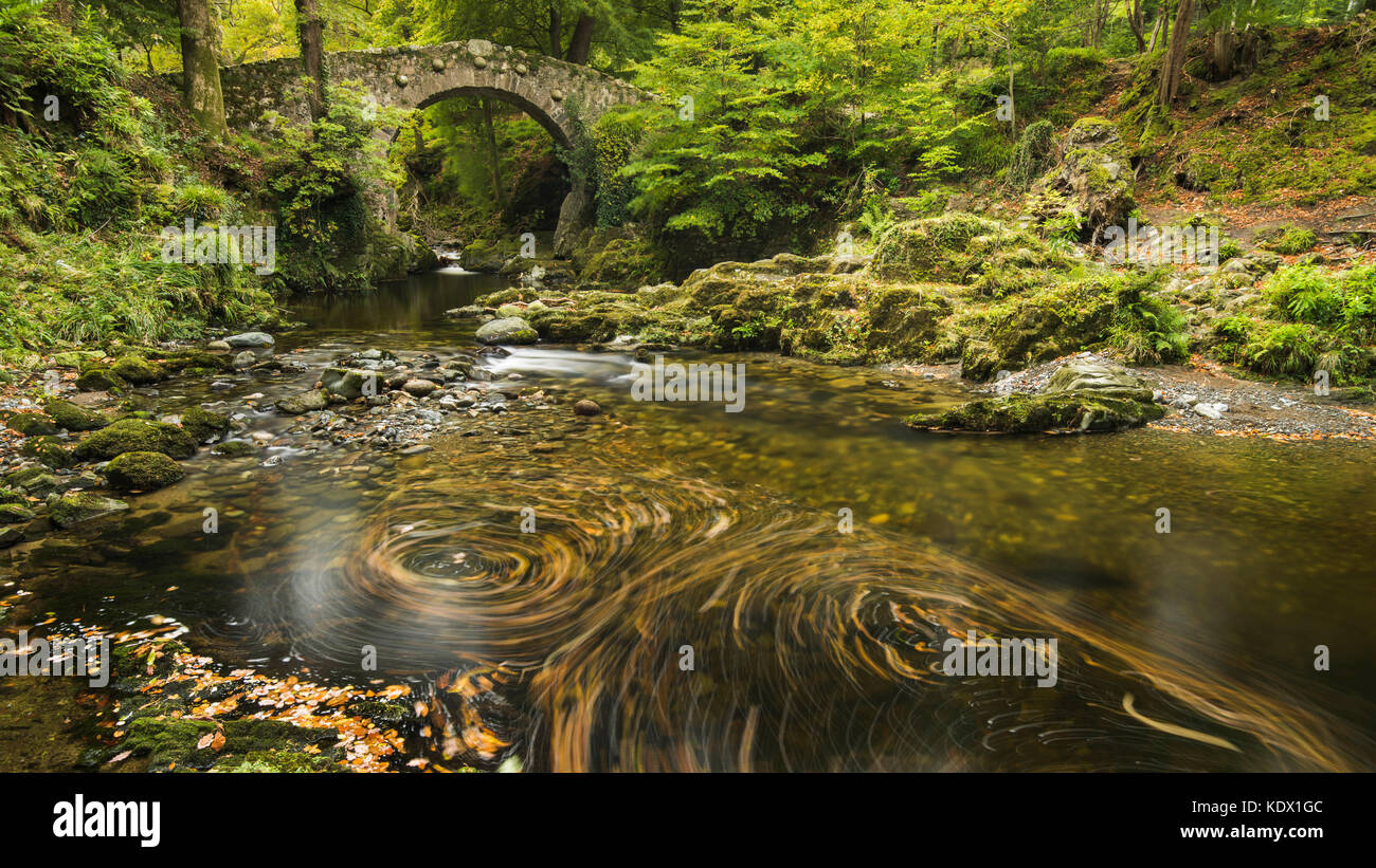 Puente foleys, tollymore Foto de stock