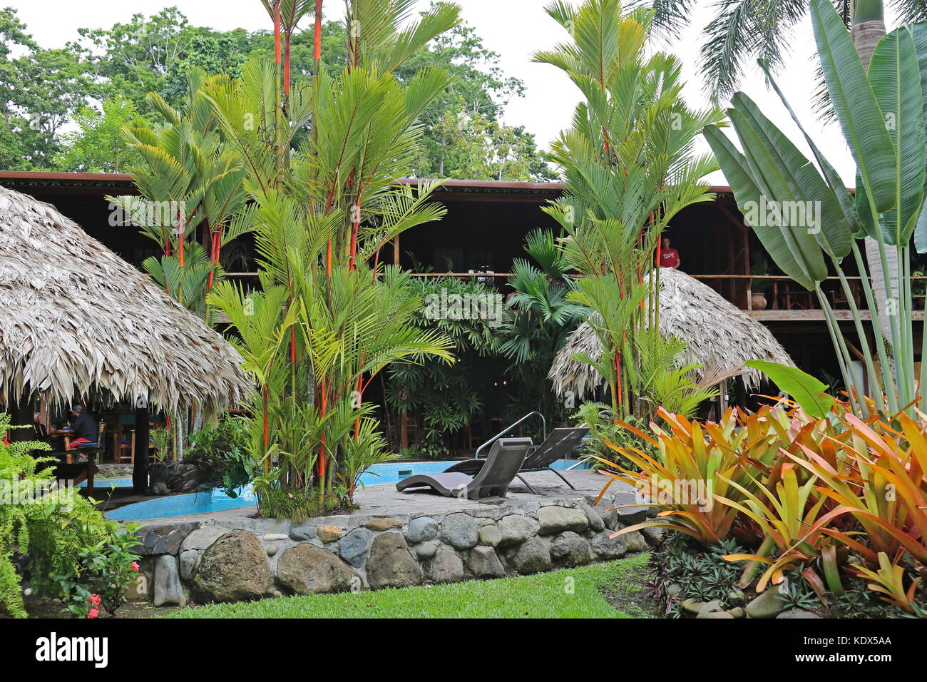 Hotel Banana Azul piscina y jardines, Playa Negra, Puerto Viejo de Talamanca,  provincia de Limón, Mar Caribe, Costa Rica, Centroamérica Fotografía de  stock - Alamy
