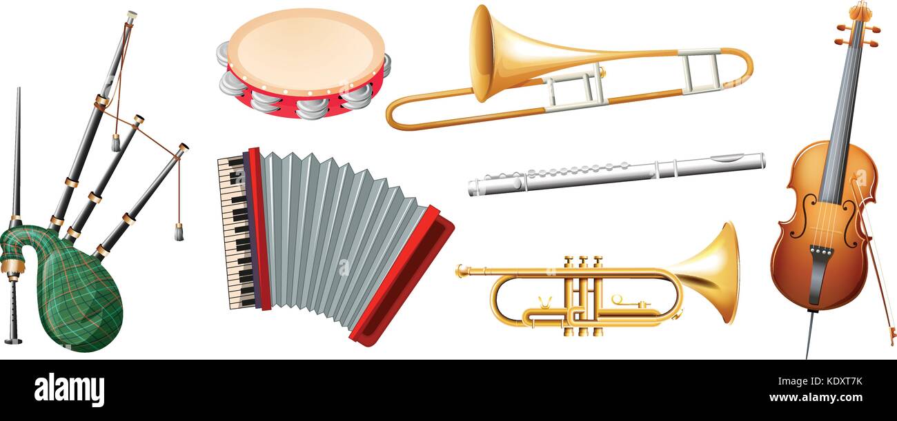 Los diferentes tipos de instrumentos musicales ilustración Imagen Vector de  stock - Alamy