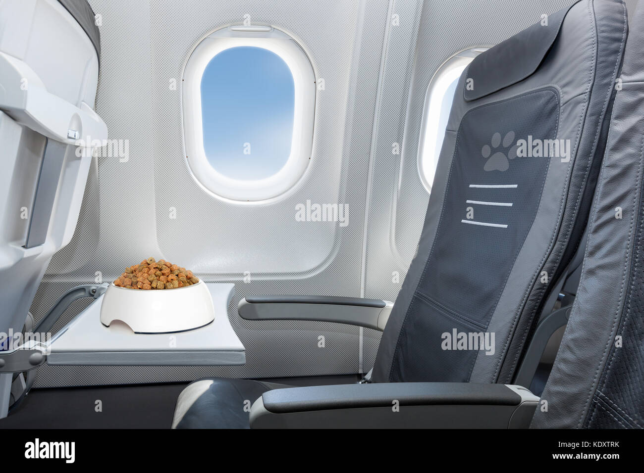 Pet bowl lleno de alimentos dentro de un avión asiento de ventana donde las mascotas son bienvenidas a bordo Foto de stock