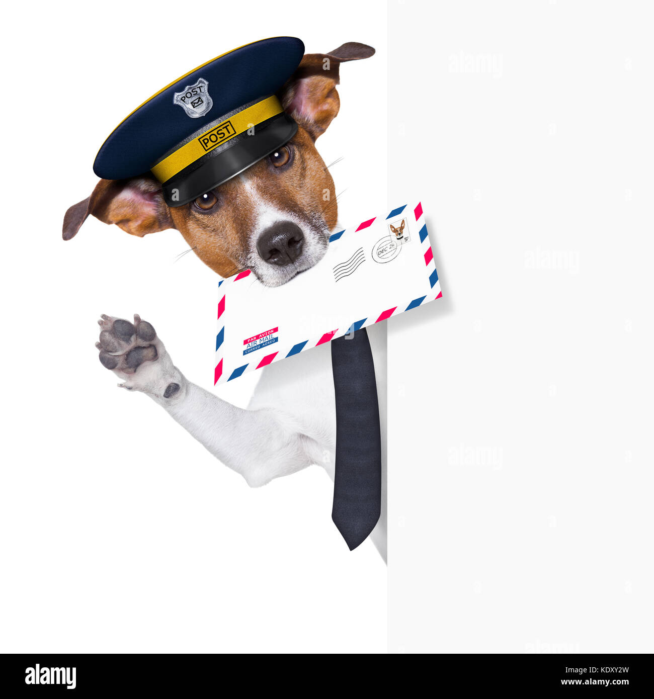 Mail perro detrás y agitando pancartas Foto de stock