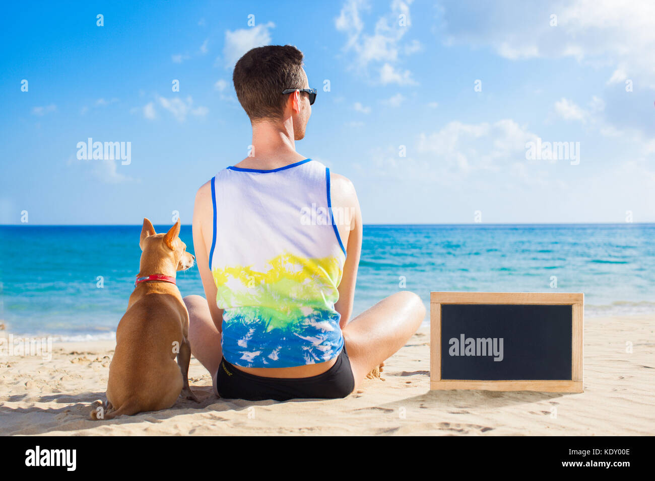 Perro y dueño Sentados muy juntos en la playa, en las vacaciones de verano, viendo la puesta de sol o amanecer , pizarra en blanco vacía o banner a la IS Foto de stock