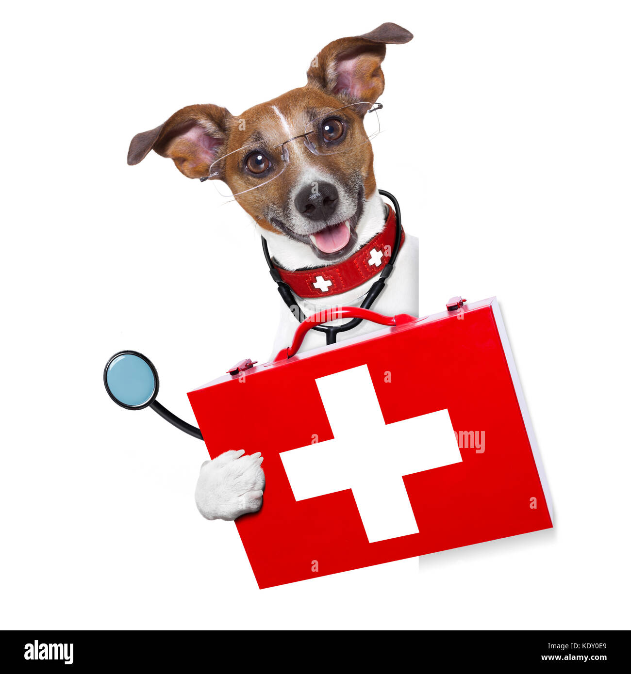 Perro médico junto a un título vacío Fotografía de stock - Alamy