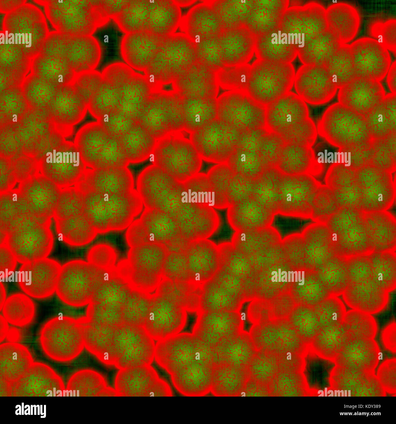 Glóbulos rojos brillantes vistos a través del microscopio Fotografía de  stock - Alamy