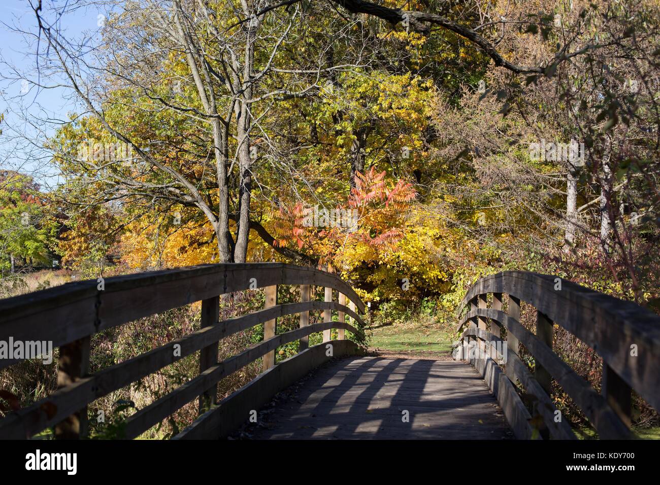 Un sendero para caminatas en otoño en la Minnesota Landscape Arboretum en Chanhassen, MN, USA. Foto de stock