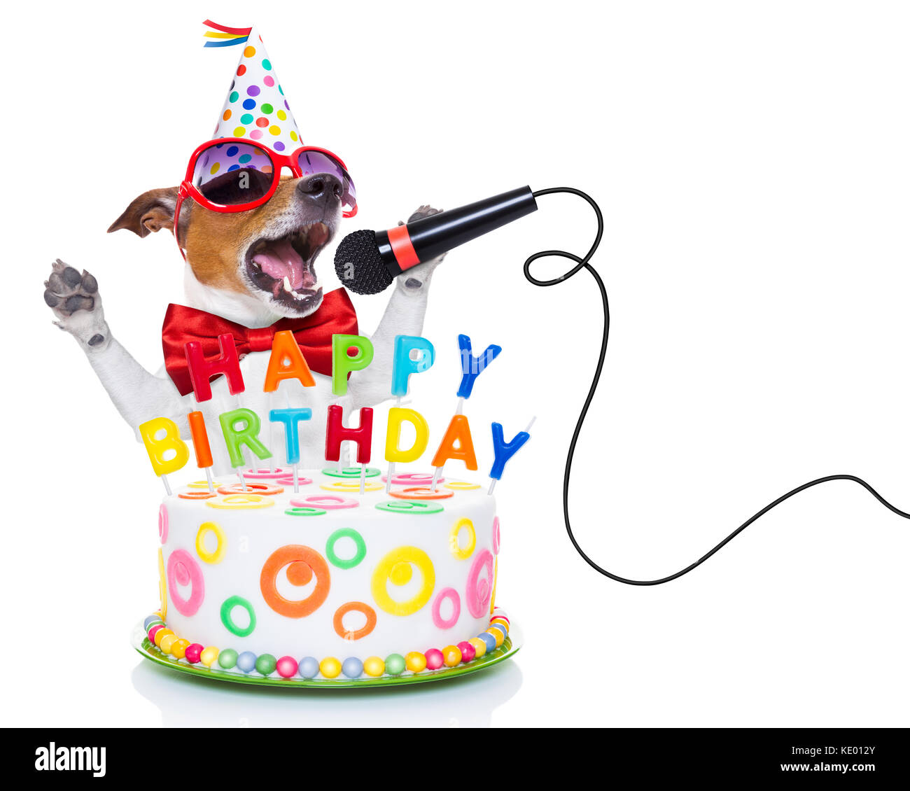 Perro Jack Russell como una sorpresa, cantando la canción de cumpleaños  como Karaoke con micrófono ,detrás divertido pastel, vestidos de rojo  corbata y gorro de fiesta , aislados o Fotografía de stock -