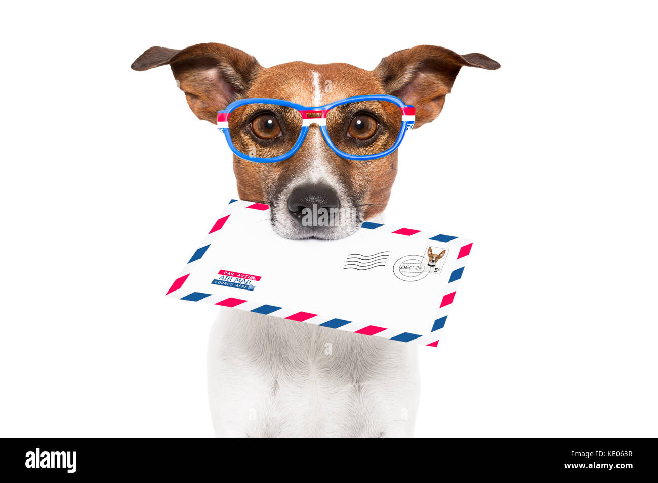 Perro con gafas entregando sobres con sellos de correo aéreo Foto de stock