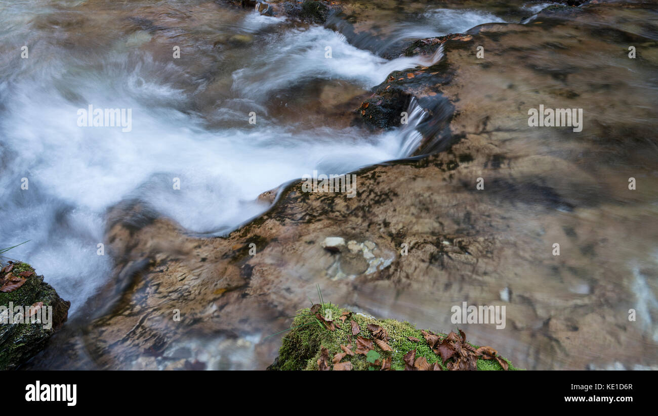 El agua de un arroyo que fluye hacia el bosque Foto de stock