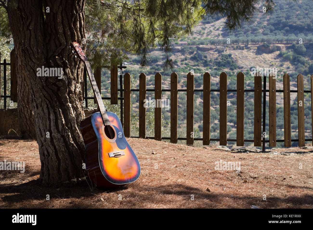 La guitarra en un árbol de sombra en un bosque paisaje del otoño del  mediodía Fotografía de stock - Alamy