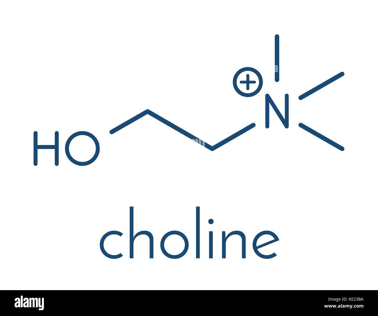 Choline fotografías e imágenes de alta resolución Alamy