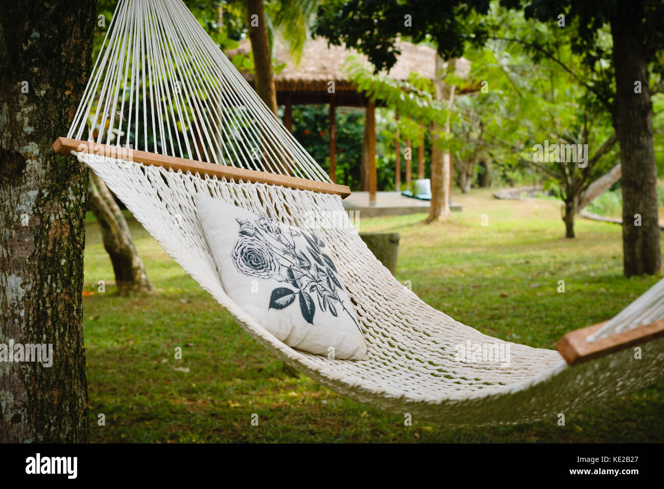 Blanco vacío con almohada hamaca colgada entre árboles en un jardín  sombreado, Tangalle, Sri Lanka Fotografía de stock - Alamy