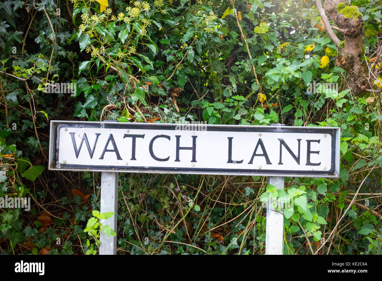 Ver Lane nombre de calle Reino Unido Foto de stock