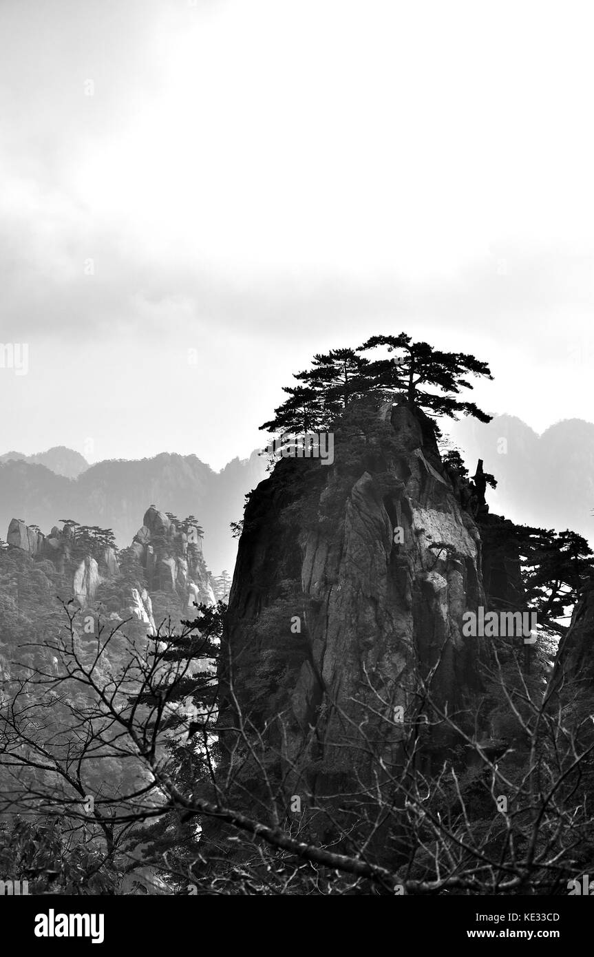 Huangshan montañas y árboles Foto de stock