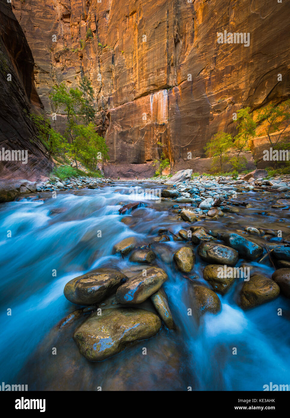 Los Narrows, en el Parque Nacional de Zion, cerca de Springdale, Utah) es una sección del cañón en el North Fork del Virgin River. La caminata del Estrecho está en Foto de stock