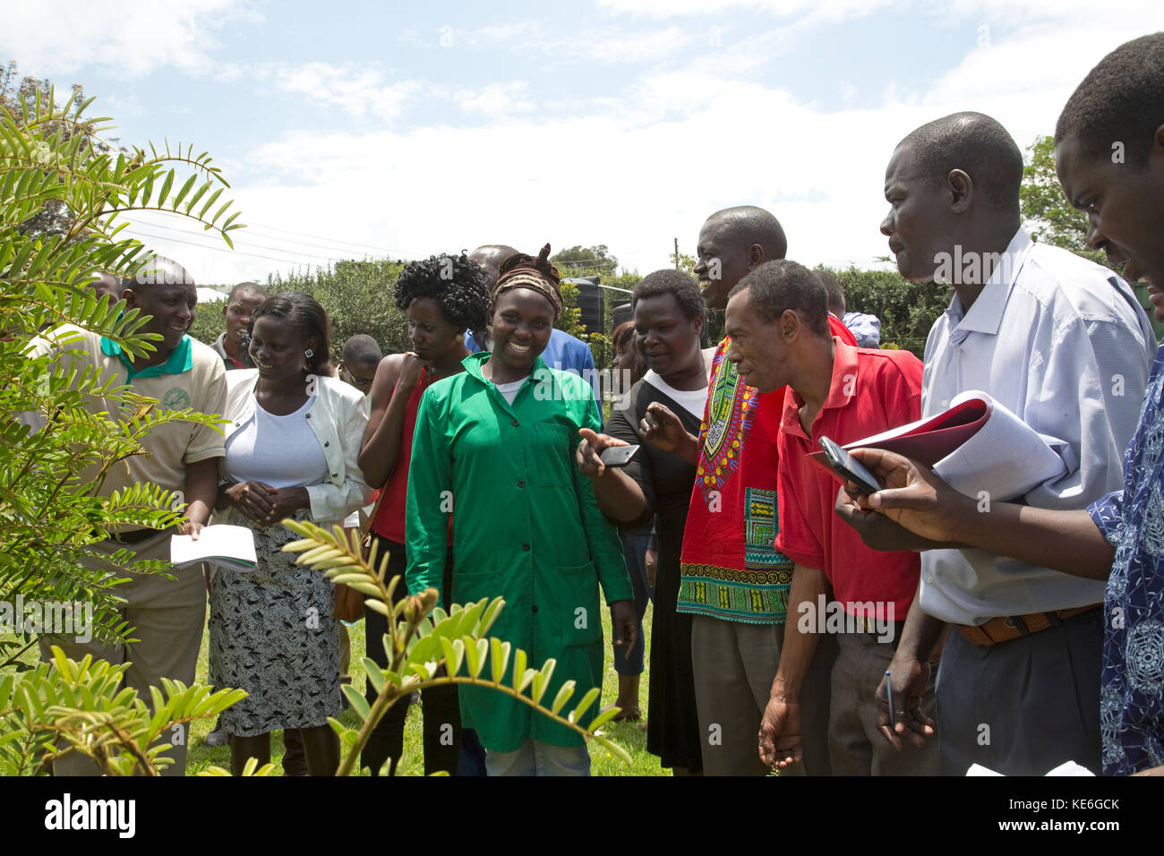 Los docentes africanos visitando el jardín de hierbas con plantas medicinales reiniciar África Kenia gilgil Foto de stock