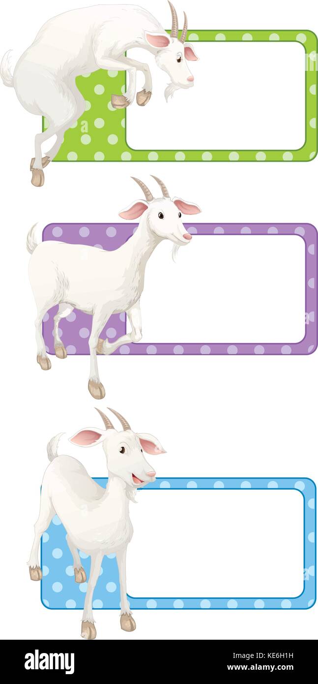 Etiquetas cuadradas con cabras blanco ilustración Ilustración del Vector