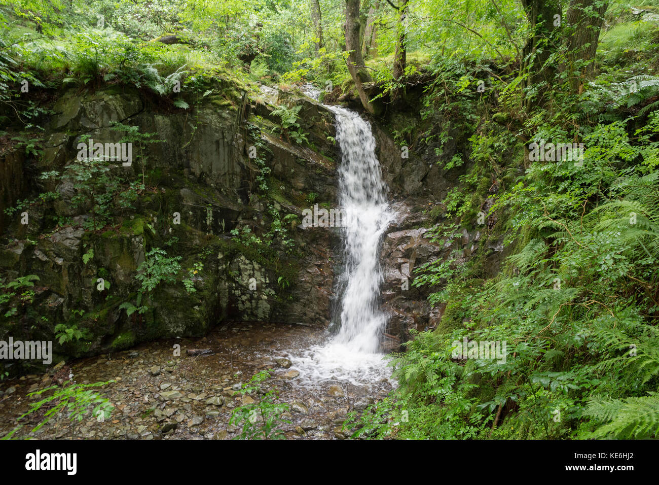 Musgo blanco cascada común, Lake District, RU Foto de stock