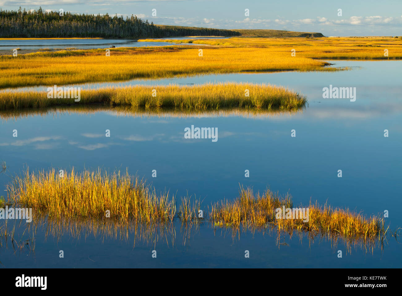 Pantanos costeros y bosques; Framboise, la isla de Cape Breton, Nova Scotia, Canadá Foto de stock