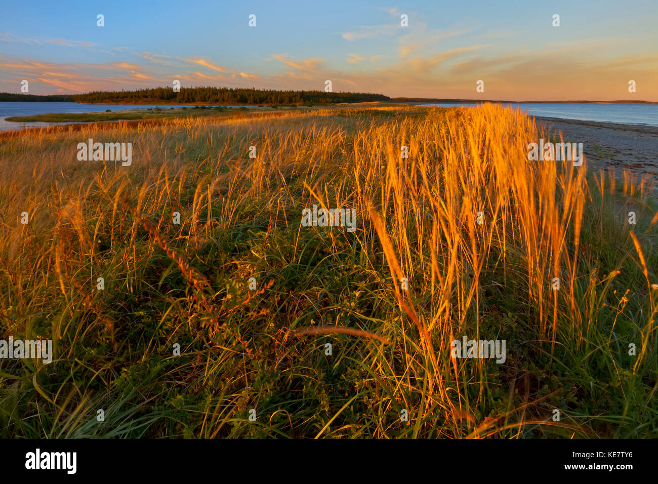 Soplar los céspedes al atardecer, Morrisons Playa; Framboise, la isla de Cape Breton, Nova Scotia, Canadá Foto de stock