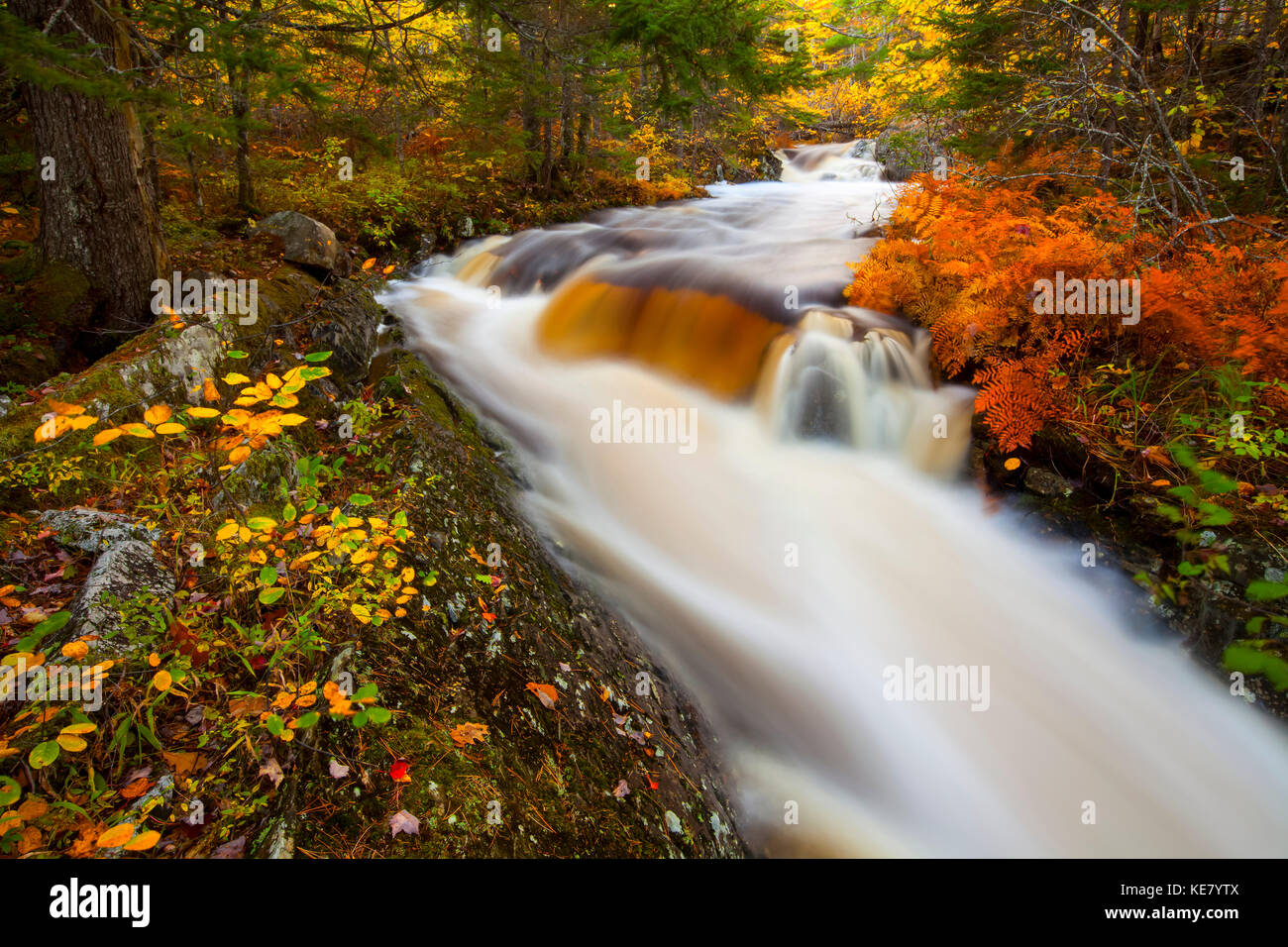 Vibrantes colores de otoño follaje por Kings arroyo con cascadas de agua fluida y desenfoque, cerca de Sleepy Cove; Gran Lago, Nova Scotia, Canadá Foto de stock