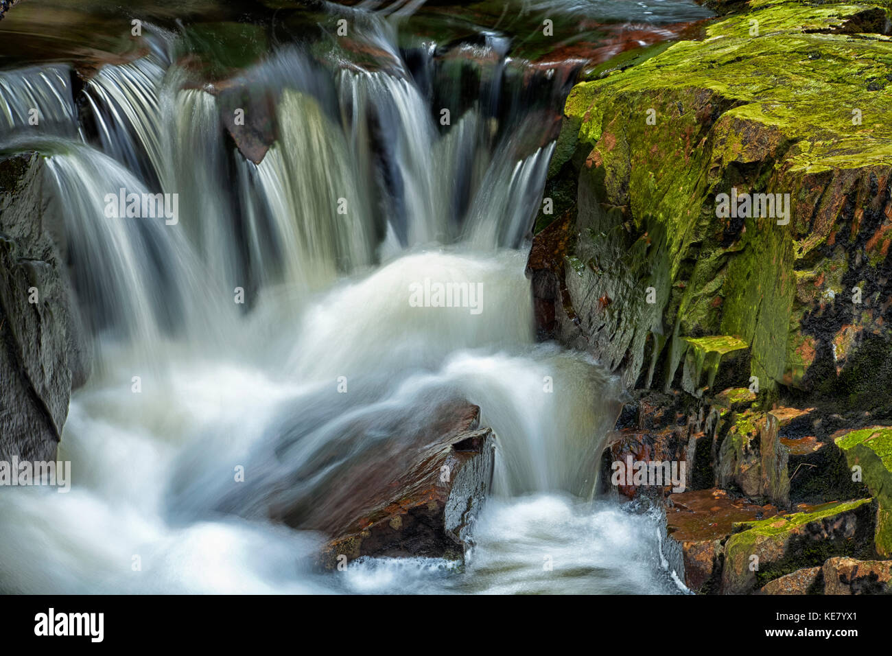 Un arroyo que fluye a lo largo de escarpadas rocas cubiertas con verde Liquen, Sleepy Cove; Gran Lago, Nova Scotia, Canadá Foto de stock