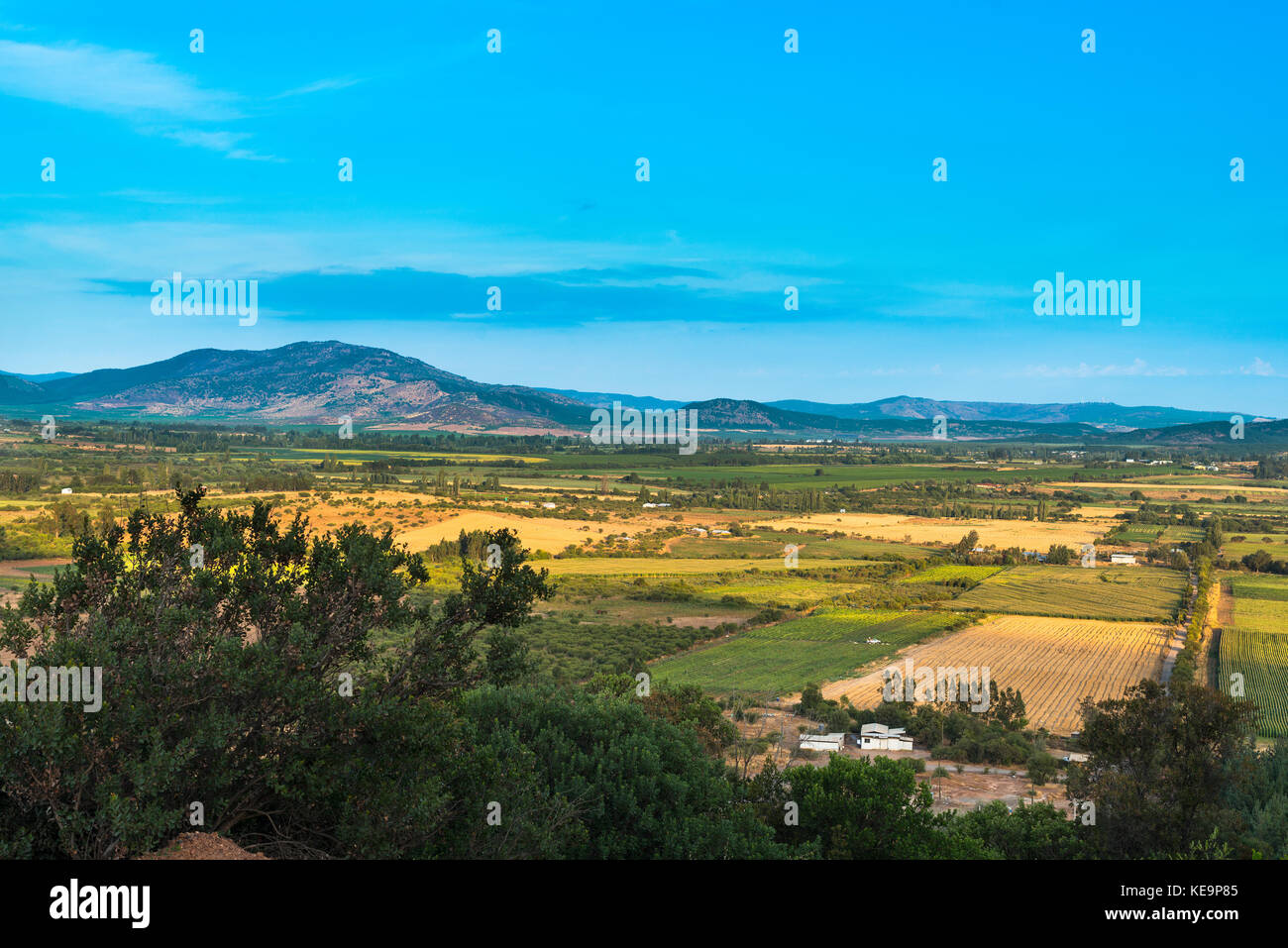 Vista de los campos en la región del Maule en el sur de chile Foto de stock