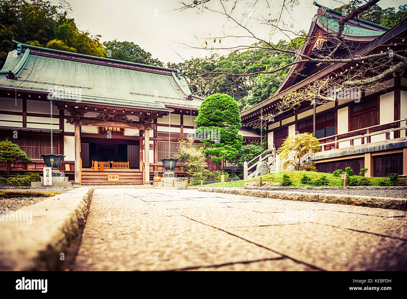 Hōkoku-ji es un antiguo templo en el Kenchō-ji de la escuela de la secta Rinzai del Budismo Zen ubicado en Kamakura, Japón. Famoso por su jardín de bambú. Foto de stock