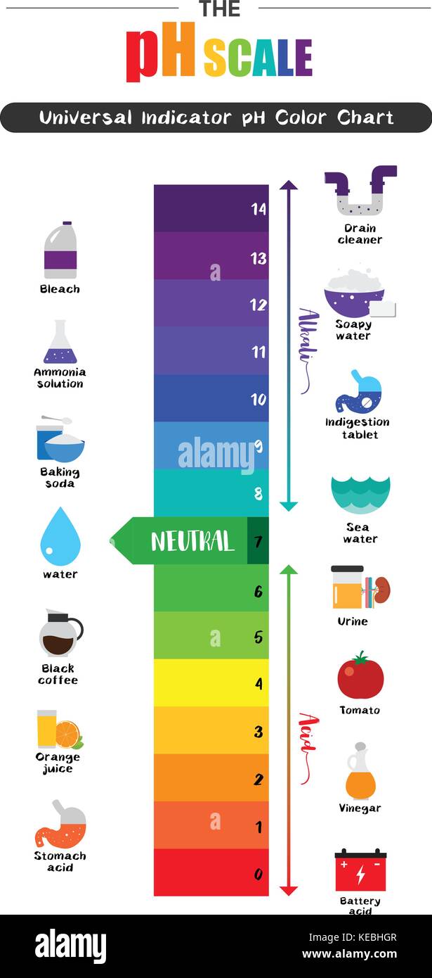 La escala de ph indicador universal de ph ácido diagrama de color valores comunes de sustancias
