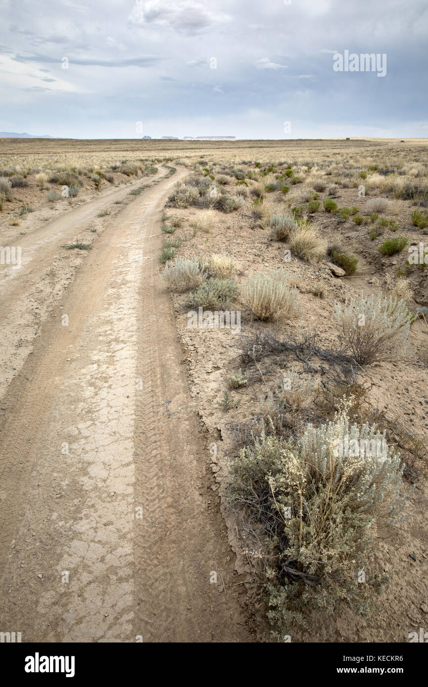 Camino de tierra, la Nación Navajo, el condado de San Juan, Nuevo México, EE.UU. Foto de stock