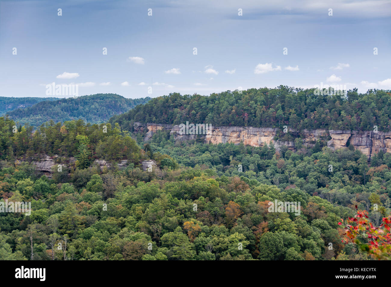 Red River Gorge en Kentucky, EE.UU. Foto de stock