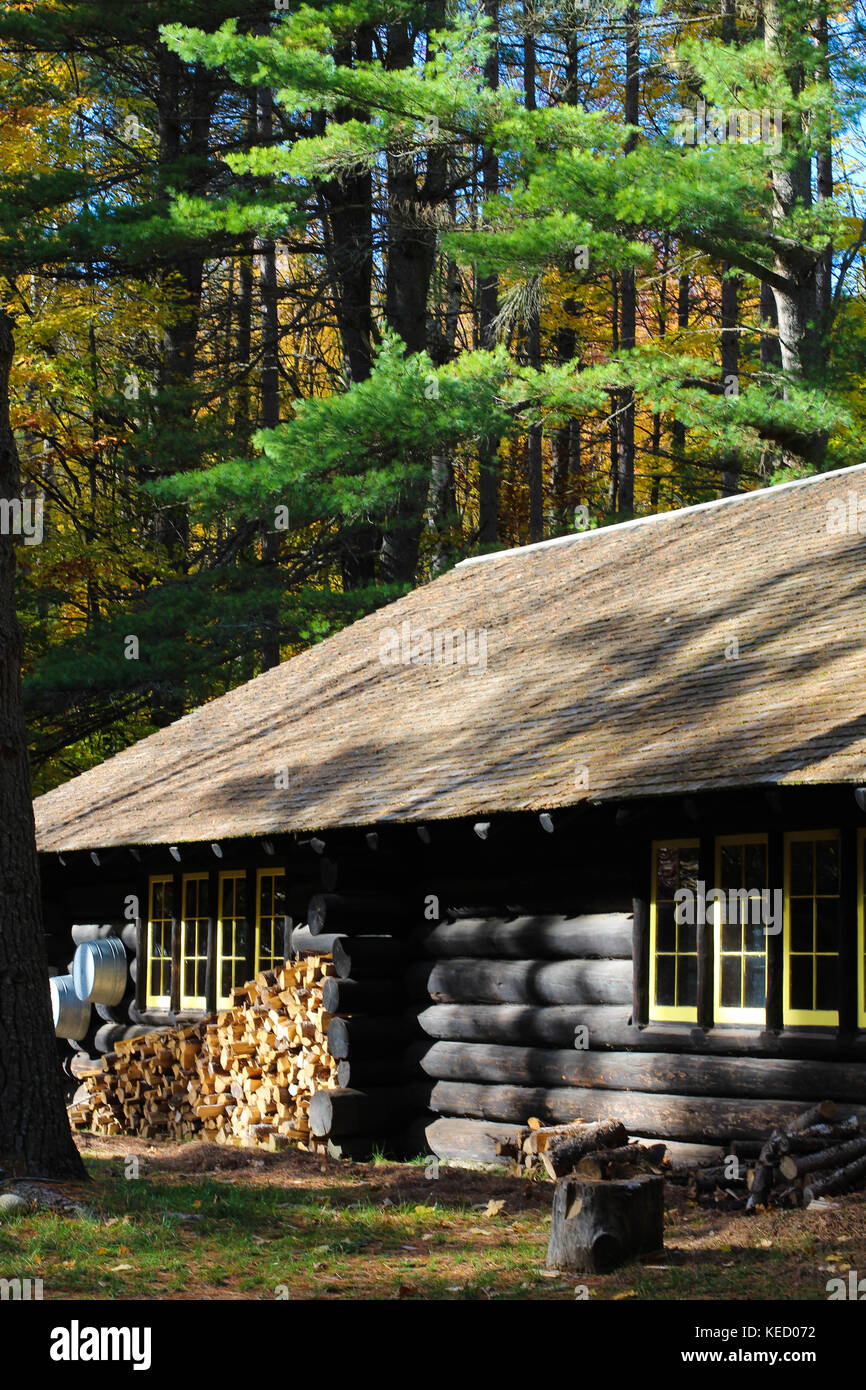 Una hermosa cabaña en el bosque, rodeado de naturaleza en el norte de Michigan, Estados Unidos Foto de stock