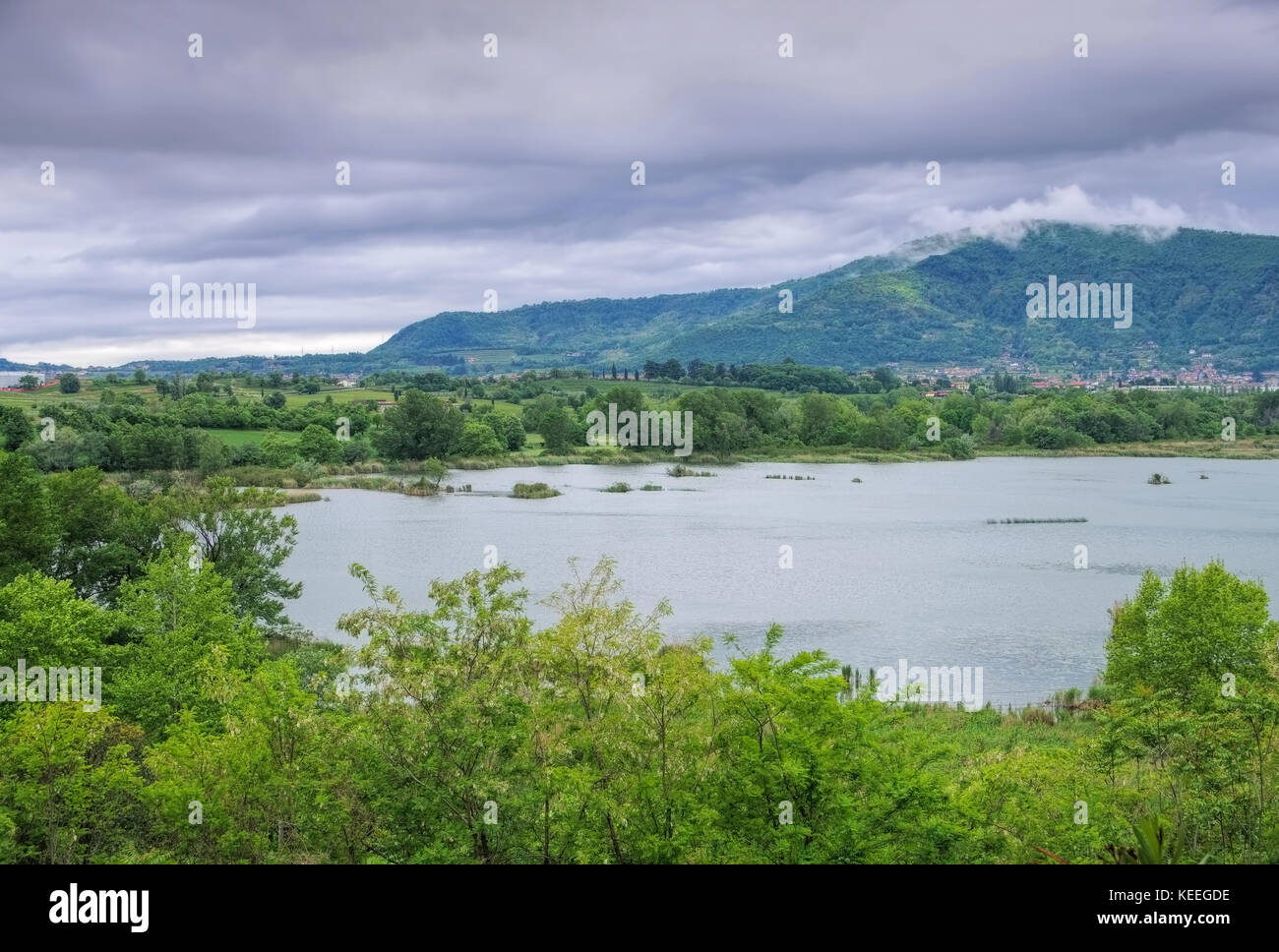 Reserva Natural Torbiere humedales del Sebino, cerca del lago de Iseo, Lombardía en Italia Foto de stock