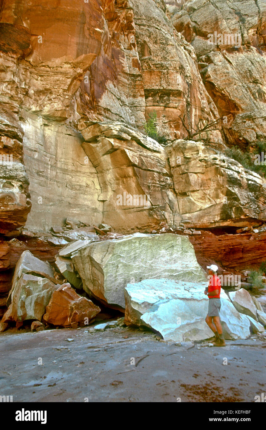 Rock crash, Moenkopi reciente formación, en el Parque Nacional Capitol Reef's Scenic Drive, el centro-sur de Utah. Foto de stock