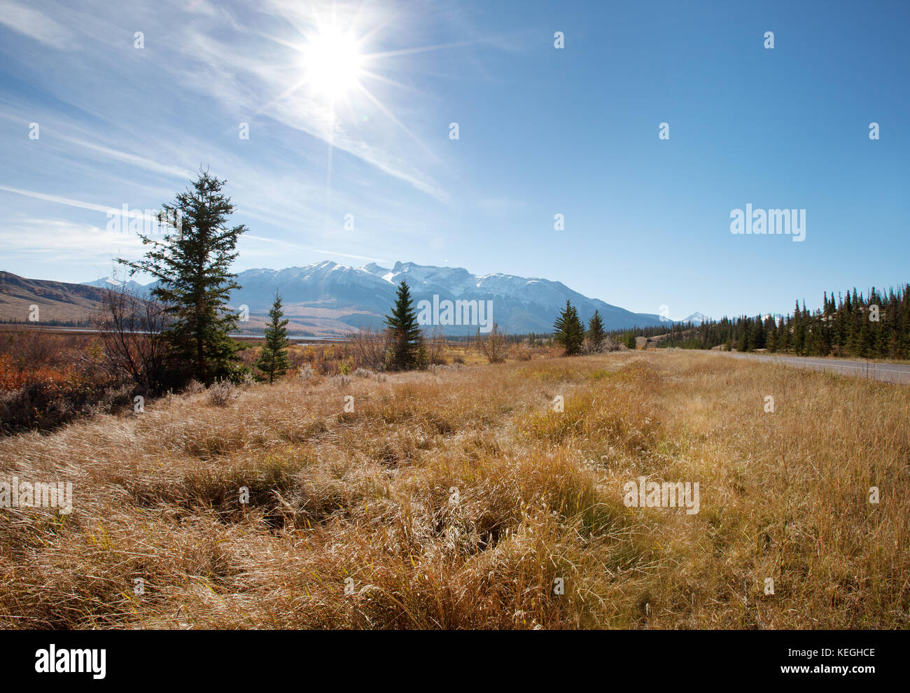 Las montañas rocosas canadienses en Jasper, Alberta con una llamarada solar por encima de un prado herboso Foto de stock